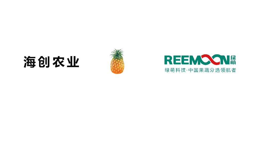 “海南海创农业 凤梨